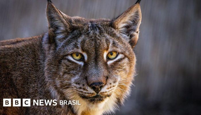 94d9a6e0-715b-11f0-b40d-2f2a77d02753.jpg 94d9a6e0-715b-11f0-b40d-2f2a77d02753.jpg