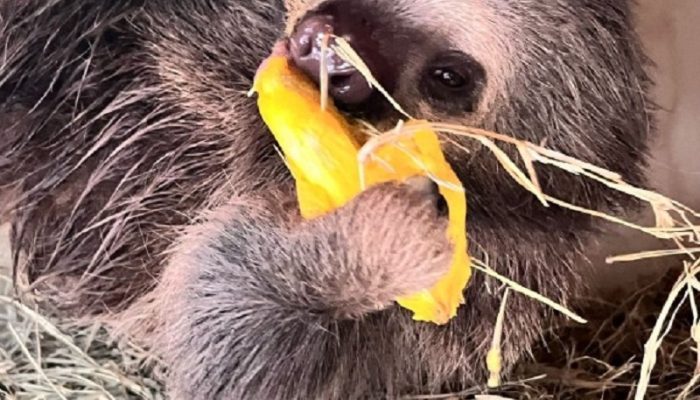 9f3230e6c4b29423b8d1ec6902a5ddab.jpg 9f3230e6c4b29423b8d1ec6902a5ddab.jpg