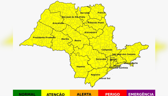 APURACAO-CNN-31.png