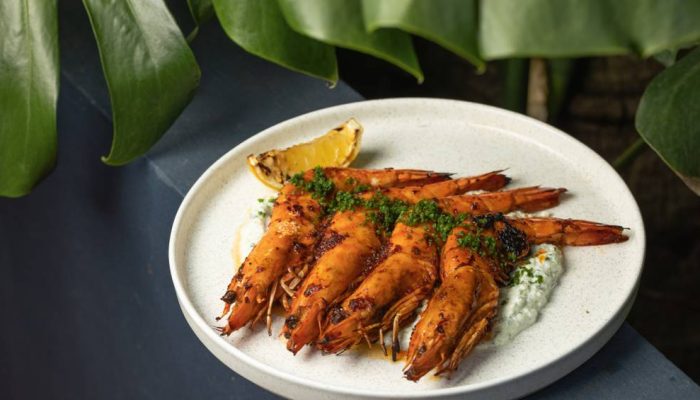 BLUBARDOMAR38.jpg.jpg BLUBARDOMAR38.jpg.jpg