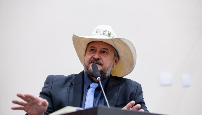 CATTANI-NA-AL.jpg CATTANI-NA-AL.jpg