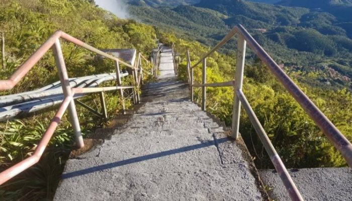 Cold_in_Brazil._Geada_no_Pico_da_Caledonia_Nova_Friburgo_Rio_de_Janeiro.jpg Cold_in_Brazil._Geada_no_Pico_da_Caledonia_Nova_Friburgo_Rio_de_Janeiro.jpg