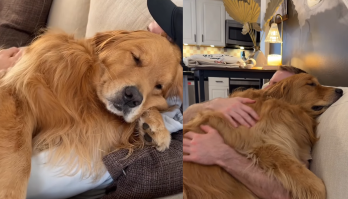 Design-sem-nome-21-5.png