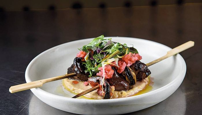 Domo-011.jpg.jpg Domo-011.jpg.jpg