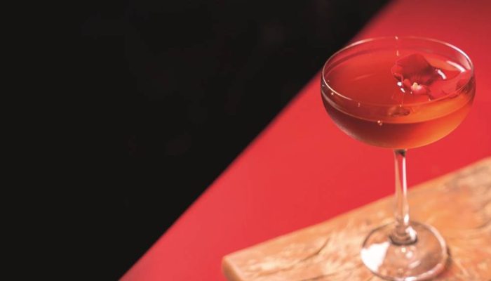 FOTOS-014-Aprimorado-NR.jpg_62e786.jpg FOTOS-014-Aprimorado-NR.jpg_62e786.jpg