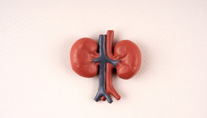 GettyImages-1990630613.jpg GettyImages-1990630613.jpg