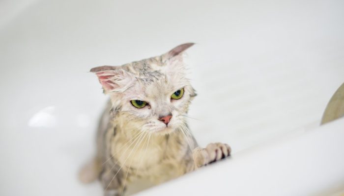 GettyImages-672336948-2.jpg GettyImages-672336948-2.jpg