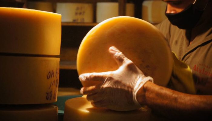 IMG_0488.jpeg IMG_0488.jpeg