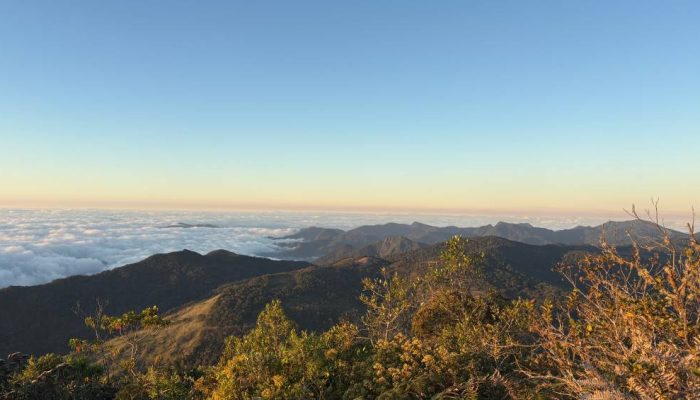 IMG_2306.jpg IMG_2306.jpg