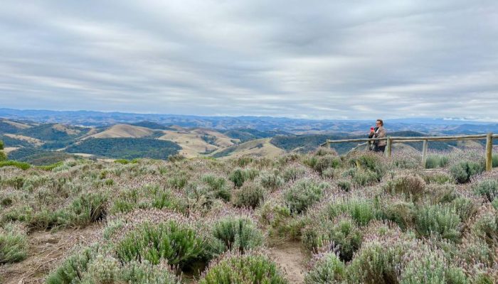 IMG_2690-4.jpg IMG_2690-4.jpg