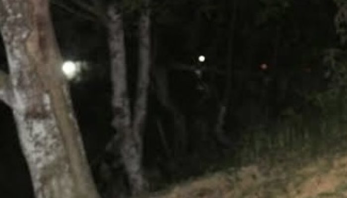 IMG_4438.jpeg IMG_4438.jpeg