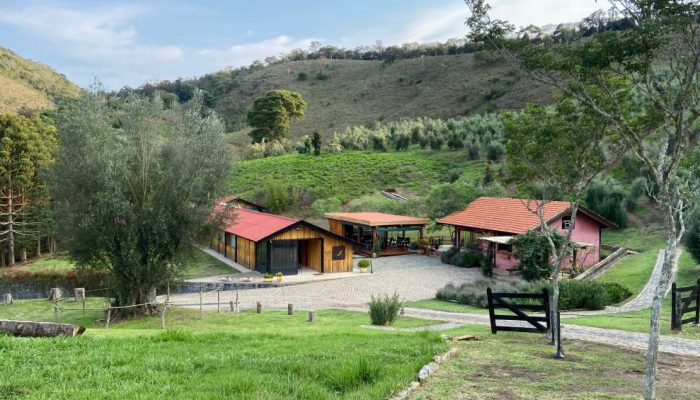 IMG_4491-1.jpg IMG_4491-1.jpg