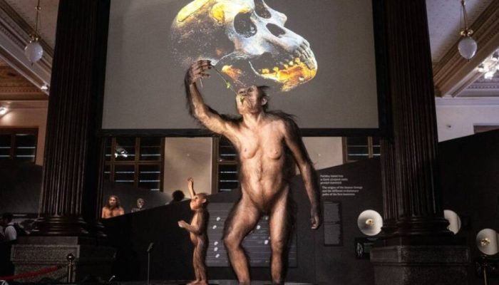 LUCY-SELAM.jpg LUCY-SELAM.jpg