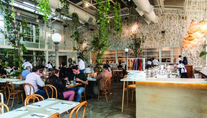 Manioca-1.jpg.jpg Manioca-1.jpg.jpg