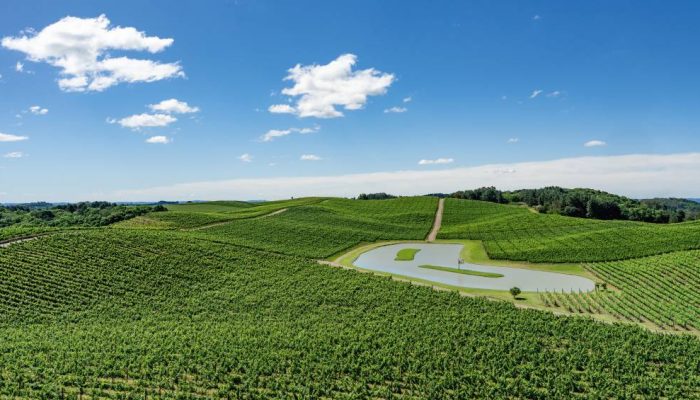 PS-20459.png.jpg PS-20459.png.jpg