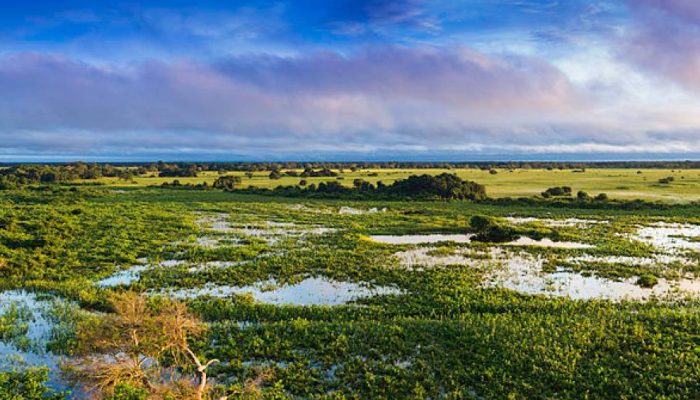 Pantanal_Mato_Grosso_Brasil.jpg Pantanal_Mato_Grosso_Brasil.jpg