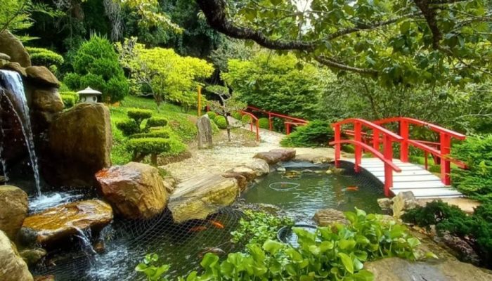 Praticas-Integrativas-Parque-das-Cerejeiras-Campos-do-Jordao-2.jpg Praticas-Integrativas-Parque-das-Cerejeiras-Campos-do-Jordao-2.jpg