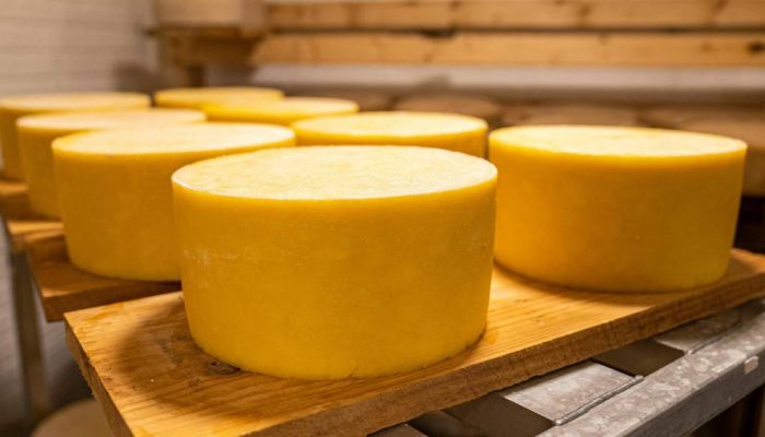 Producao-de-Queijo-Mark-Stebnicki.jpg
