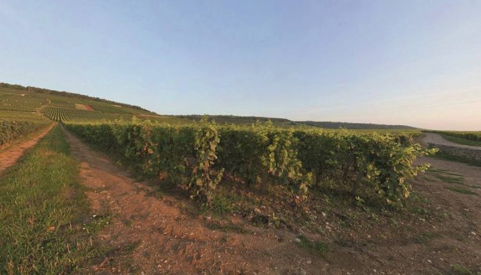 Screenshot-2025-05-05-at-19.41.44.png.jpg Screenshot-2025-05-05-at-19.41.44.png.jpg