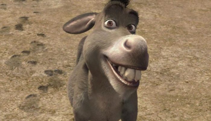 Shrek-Burro-Spin-Off.jpg