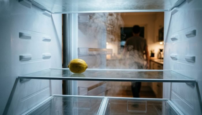Single_lemon_inside_empty_refrig…_202608111649-e1786477841498.jpeg