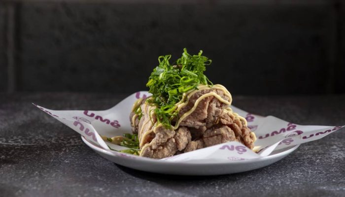 Ume-Izakaya-Karaage-015.jpg