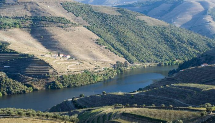 Vale-do-Douro.jpg