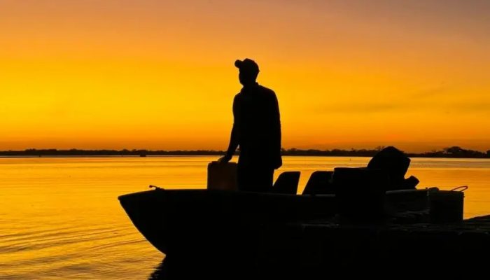 WhatsApp-Image-2024-12-10-at-15.01.26_p10208_thumb_resized.jpeg WhatsApp-Image-2024-12-10-at-15.01.26_p10208_thumb_resized.jpeg