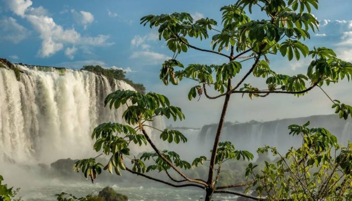 WhatsApp-Image-2024-12-11-at-11.42.28.jpg WhatsApp-Image-2024-12-11-at-11.42.28.jpg