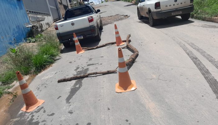 WhatsApp-Image-2025-02-02-at-11.51.23.jpeg WhatsApp-Image-2025-02-02-at-11.51.23.jpeg