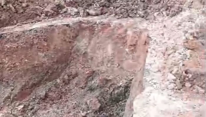 WhatsApp-Image-2025-03-04-at-15.59.34.jpg WhatsApp-Image-2025-03-04-at-15.59.34.jpg