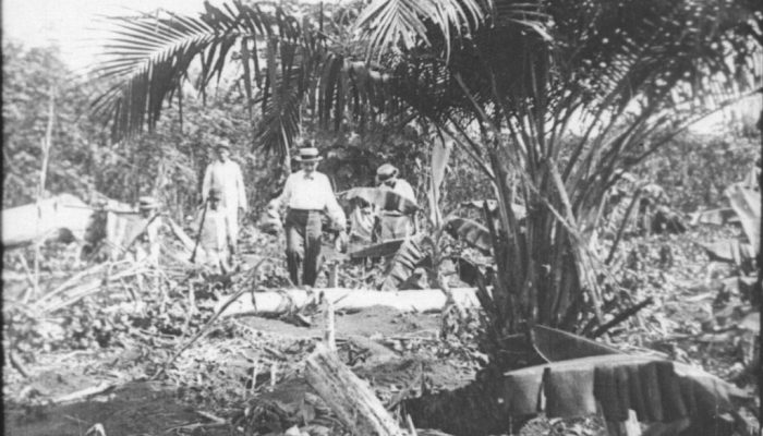 WhatsApp-Image-2025-06-23-at-17.59.46.jpeg WhatsApp-Image-2025-06-23-at-17.59.46.jpeg