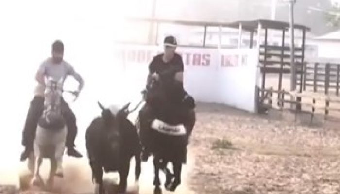 WhatsApp-Image-2025-07-03-at-16.36.13.jpeg WhatsApp-Image-2025-07-03-at-16.36.13.jpeg