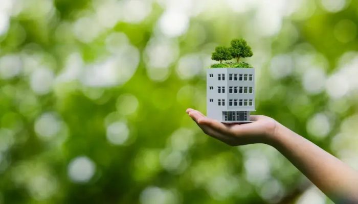 WhatsApp-Image-2025-09-03-at-10.39.22-AM-2_p11259_thumb_resized.jpeg WhatsApp-Image-2025-09-03-at-10.39.22-AM-2_p11259_thumb_resized.jpeg