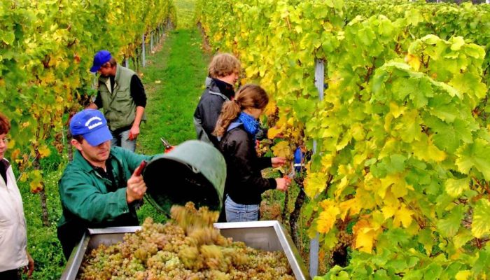 WhatsApp-Image-2025-09-29-at-19.33.29-4-1.jpeg WhatsApp-Image-2025-09-29-at-19.33.29-4-1.jpeg