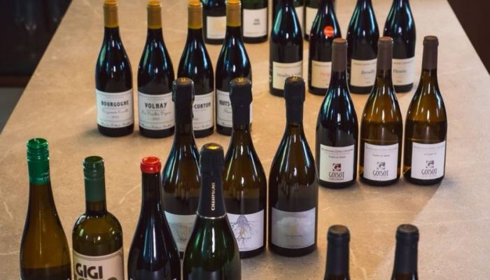 WhatsApp-Image-2025-10-01-at-19.05.43-1.jpeg WhatsApp-Image-2025-10-01-at-19.05.43-1.jpeg