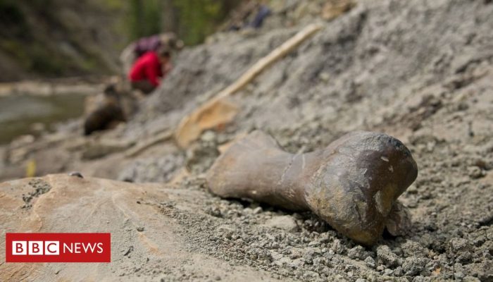 a8b687d0-3409-11f0-8947-7d6241f9fce9.jpg a8b687d0-3409-11f0-8947-7d6241f9fce9.jpg