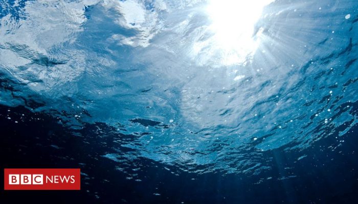 aa5ee0a0-4520-11f0-b6e6-4ddb91039da1.jpg aa5ee0a0-4520-11f0-b6e6-4ddb91039da1.jpg