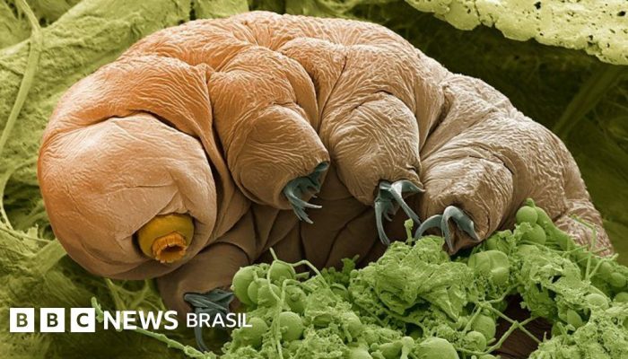 ab9965a0-97e4-11f0-af62-91486a511a31.jpg ab9965a0-97e4-11f0-af62-91486a511a31.jpg