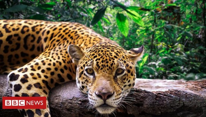 ac37c580-1911-11f0-b1b3-7358f8d35a35.jpg ac37c580-1911-11f0-b1b3-7358f8d35a35.jpg