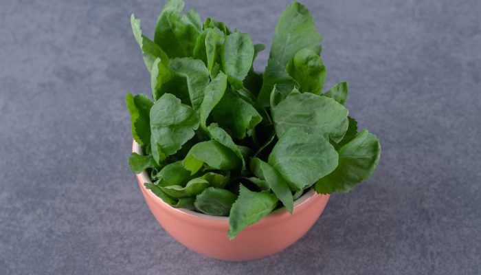agriao-beneficios-comida.jpg agriao-beneficios-comida.jpg