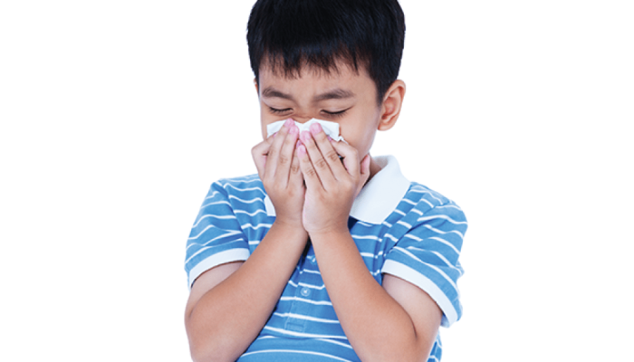 alergias-anafilaxia.png alergias-anafilaxia.png