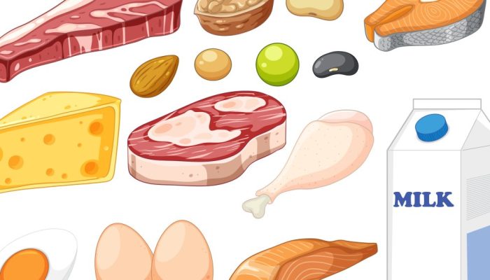 alimentos-ricos-proteina.jpg alimentos-ricos-proteina.jpg