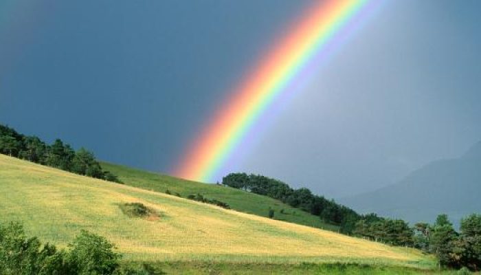 arco-iris-no-ceu-1672149056196_v2_615x300.jpg arco-iris-no-ceu-1672149056196_v2_615x300.jpg