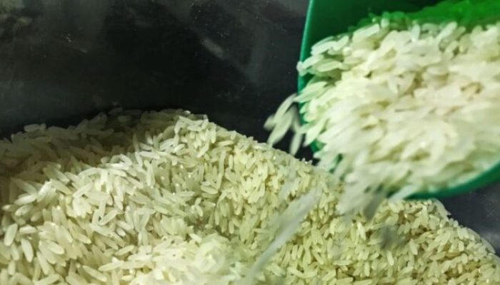 arroz-foto-marcello-casal-jr-agencia-brasil-1-660×372.jpg arroz-foto-marcello-casal-jr-agencia-brasil-1-660x372.jpg