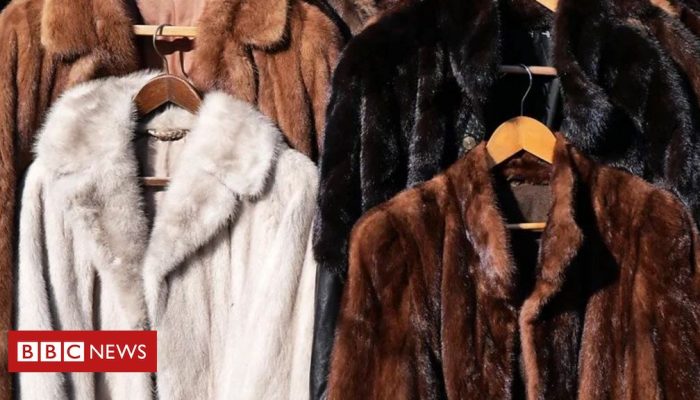 b38e62d0-16ff-11f0-a455-cf1d5f751d2f.jpg b38e62d0-16ff-11f0-a455-cf1d5f751d2f.jpg