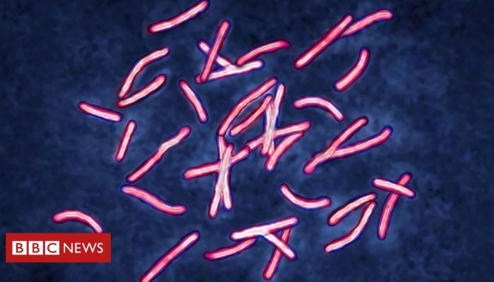 b509f4d0-ef77-11ef-8506-65b5c425480e.jpg b509f4d0-ef77-11ef-8506-65b5c425480e.jpg