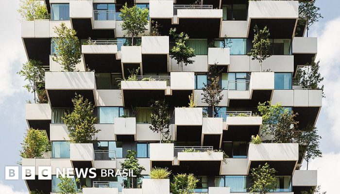 b7de3fd0-418f-11f0-bace-e1270fc31f5e.jpg b7de3fd0-418f-11f0-bace-e1270fc31f5e.jpg