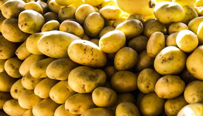 banco_de_imagens_vac_abr_2907221191.jpg banco_de_imagens_vac_abr_2907221191.jpg