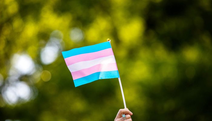 bandeira_trans.jpg bandeira_trans.jpg